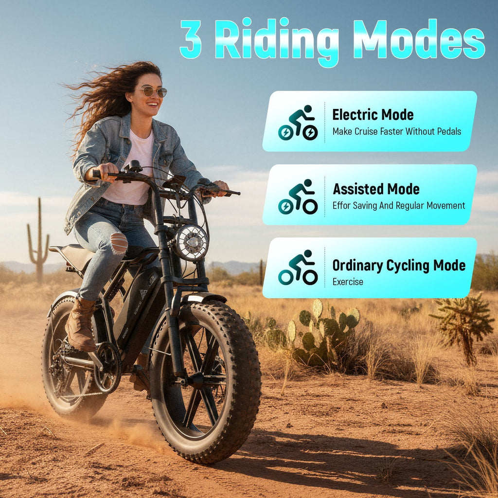 TST Electric Bike for Adults, 750W Motor, 20x4 Fat Tire, 20Mph Speed EBike, Full Suspension E Mountain Bike, 48V/15AH, UL2849 Electric Bikes