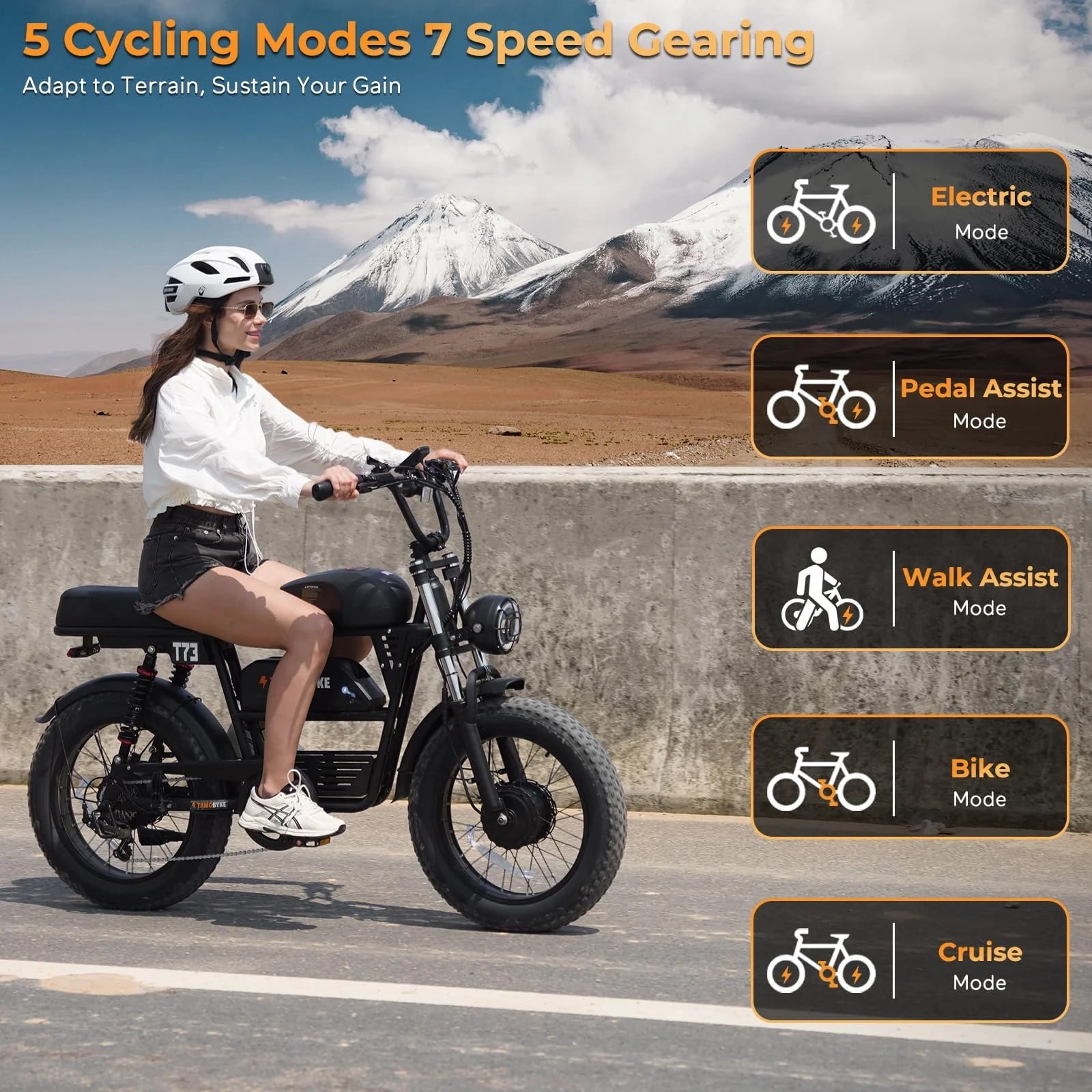 Adult E-Mountain Bike Tamobyke T73PROMAX, 3000W Peak Dual Motor, 37.5mph, 48V 36.4Ah Battery, 20 Fat Tire Electric Bike, UL2849 Electric Bikes