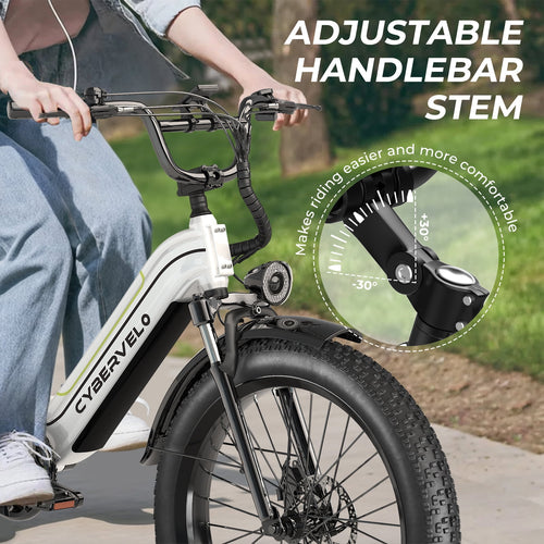 1000W Peak Ebike for Adults,Detachable Battery 26 Fat Tire Step-Thru 7-Speed,Adult All Terrain Electric Bikes