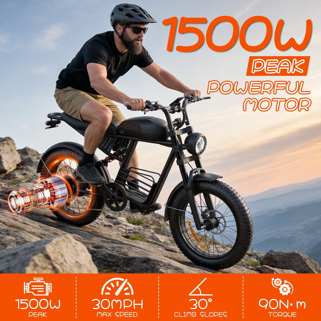 Electric Bike for Adults,750W Motor 1000W Peak,Top Speed 30MPH, Max 55miles,20×4.0 Fat Tires,48V 16.8Ah Battery,UL 2849,Fit for 18+ Electric Bikes