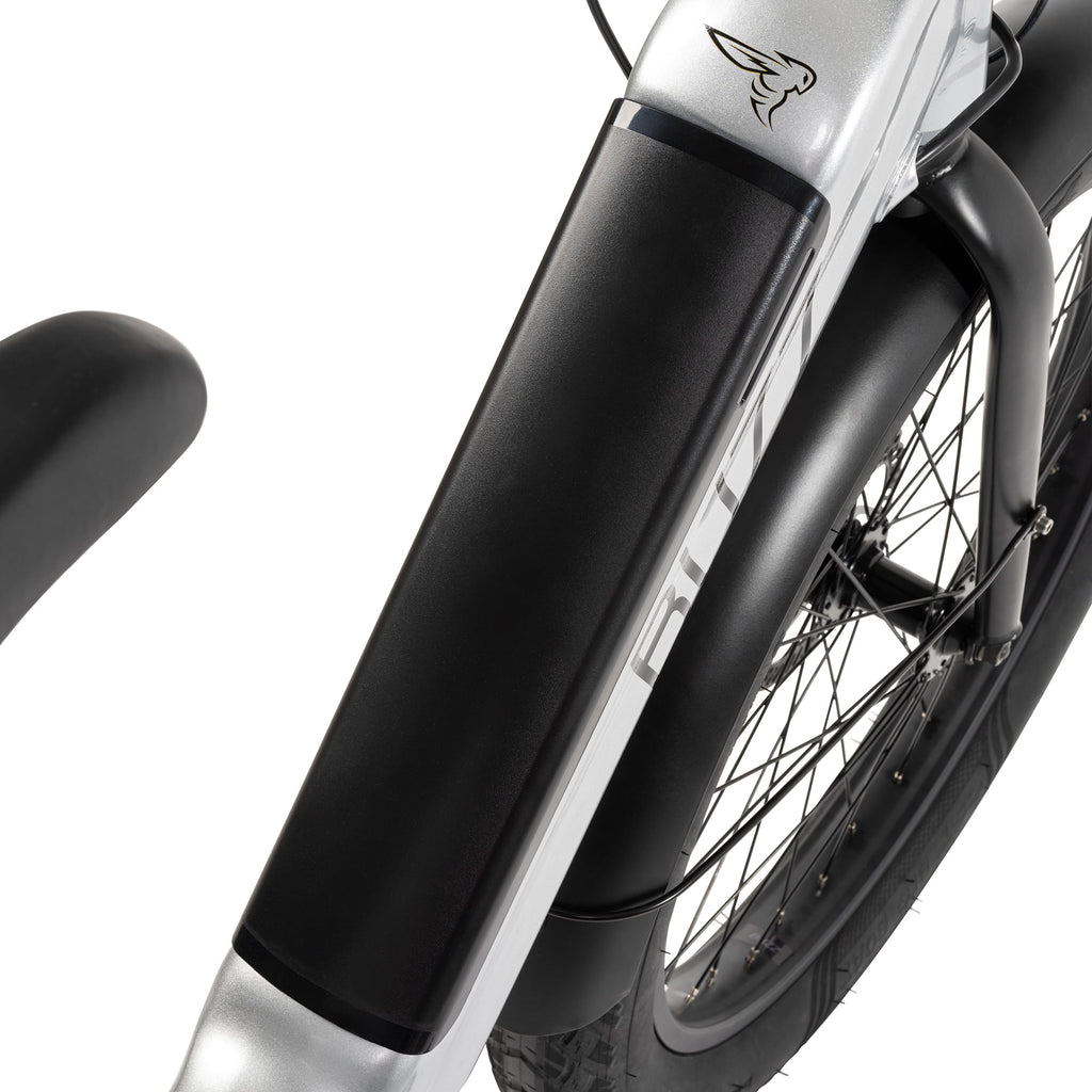 Buzz 24 Beekeeper 48V Electric Cargo Bike, Fits Riders 60+, Silver, Adult, Unisex Electric Bikes