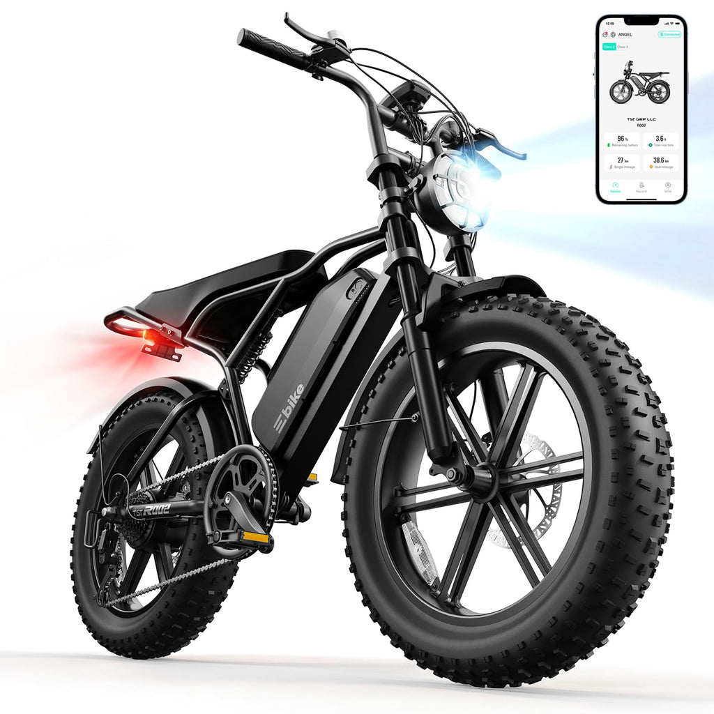 TST Electric Bike for Adults, 750W Motor, 20x4 Fat Tire, 20Mph Speed EBike, Full Suspension E Mountain Bike, 48V/15AH, UL2849 Electric Bikes