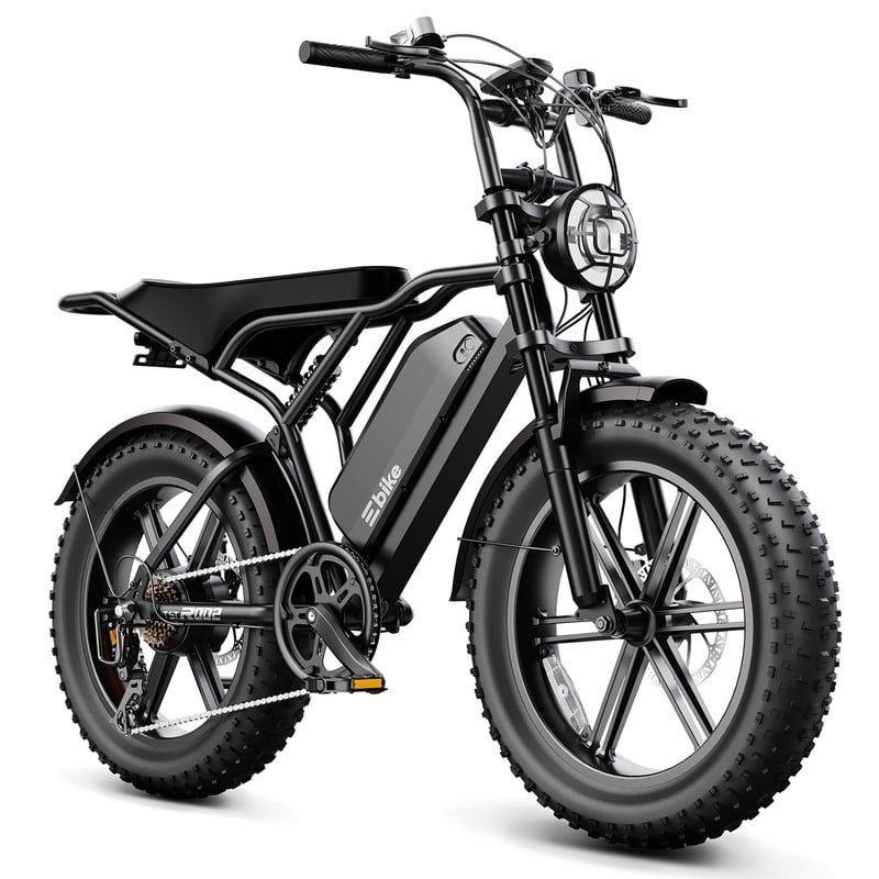 TST Electric Bike for Adults, 750W Peak 1500W Motor, 20x4 Fat Tire, E Mountain Bike, 48V/15AH UL2849 Electric Bikes