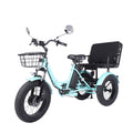 Vicamy Adult Electric Tricycle, 20x4 Fat Snow Tire 500W Hub Motor E Trike, 48V 20AH Removable Battery, 20 mph Max Speed, 360 lbs Capacity, LCD& LED Headlight Electric Bikes