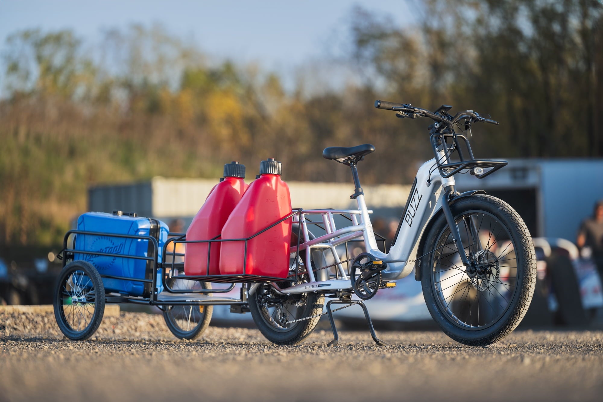 Buzz 24 Beekeeper 48V Electric Cargo Bike, Fits Riders 60+, Silver, Adult, Unisex Electric Bikes