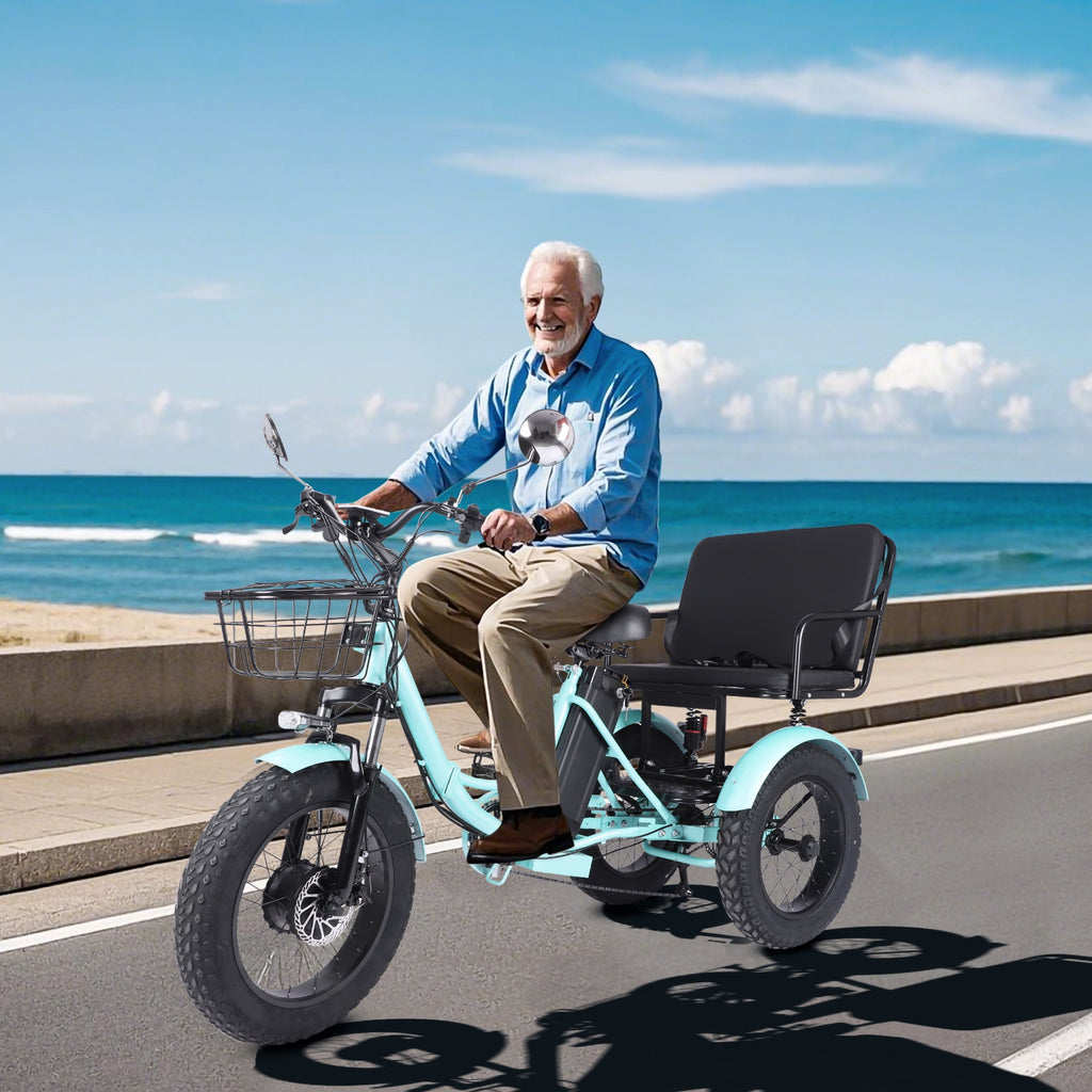 Vicamy Adult Electric Tricycle, 20x4 Fat Snow Tire 500W Hub Motor E Trike, 48V 20AH Removable Battery, 20 mph Max Speed, 360 lbs Capacity, LCD& LED Headlight Electric Bikes