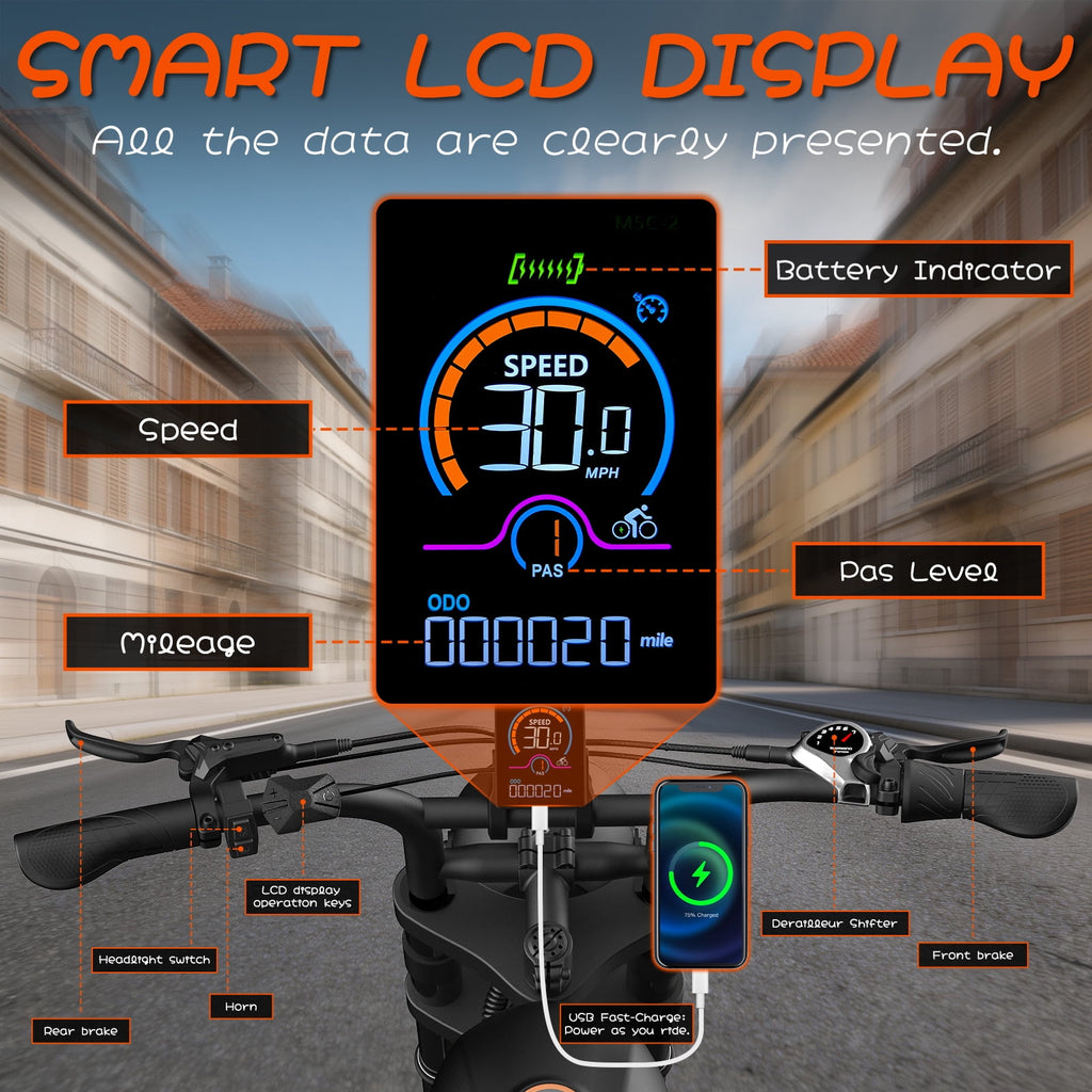 Electric Bike for Adults,750W Motor 1000W Peak,Top Speed 30MPH, Max 55miles,20×4.0 Fat Tires,48V 16.8Ah Battery,UL 2849,Fit for 18+ Electric Bikes