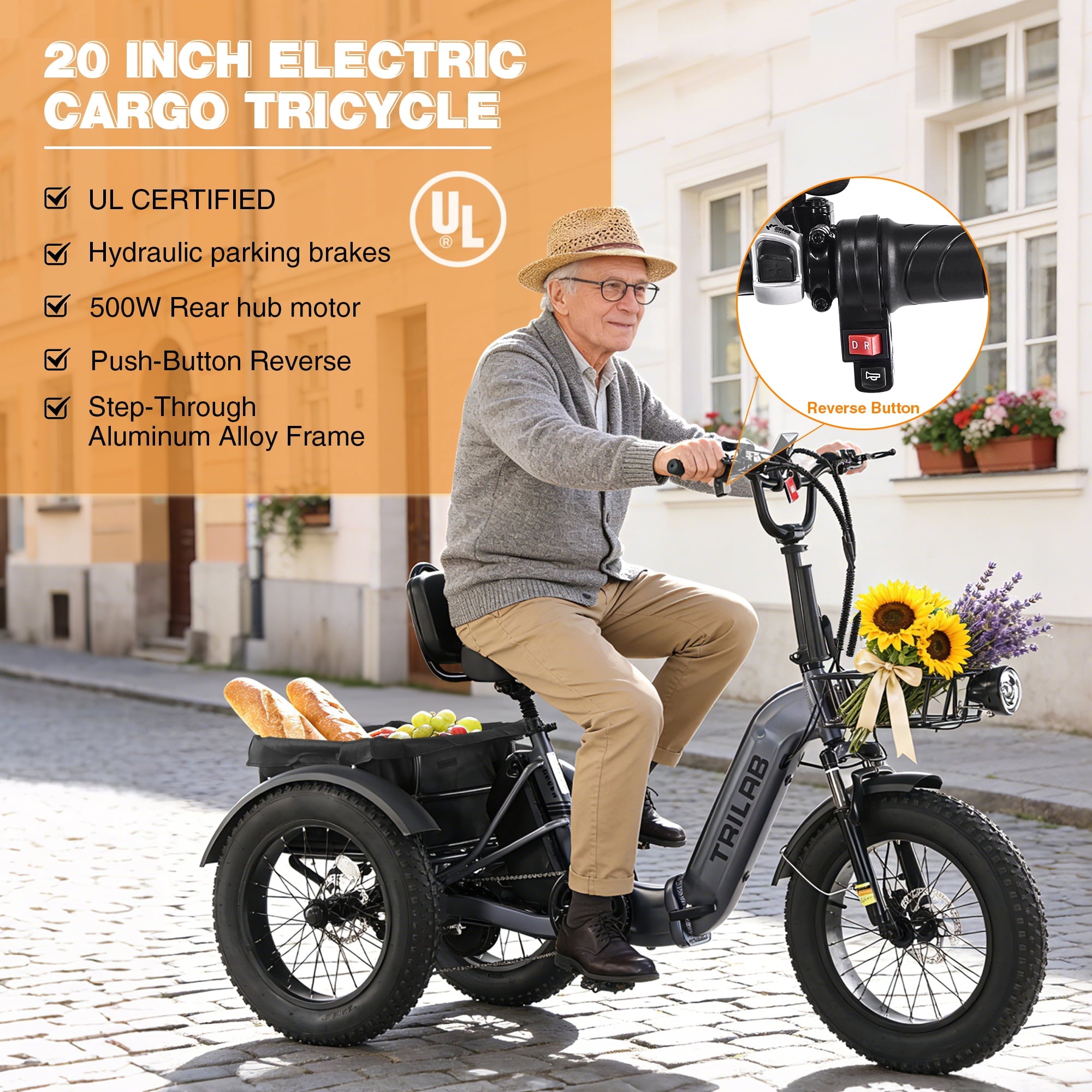 Meghna 20 inch Electric Tricycle 48V Max Speed 15 MPH Foldable 7 Speed Large Capacity Max Load 275 lbs Black Electric Bikes