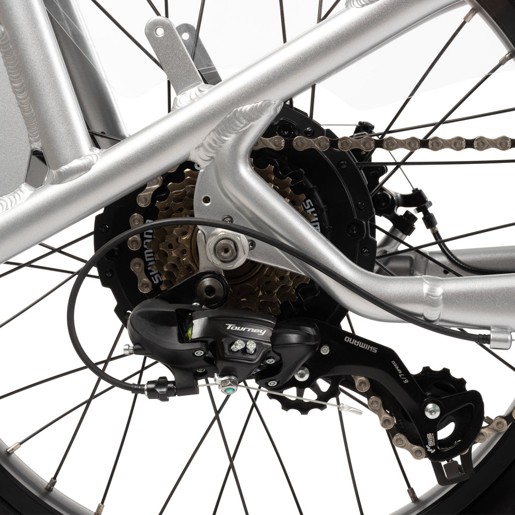 Buzz 24 Beekeeper 48V Electric Cargo Bike, Fits Riders 60+, Silver, Adult, Unisex Electric Bikes